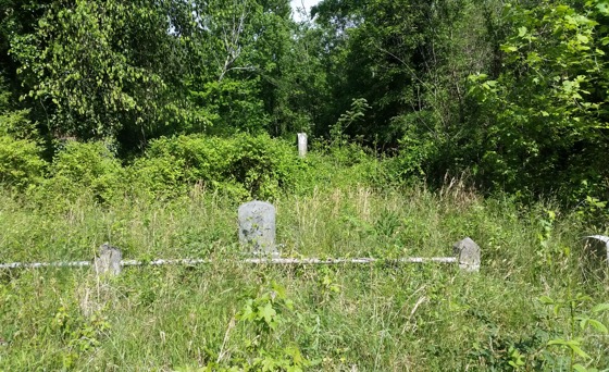 Evergreen Cemetery as seen with severe overgrowth due to lack of maintenance