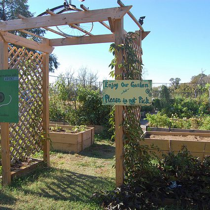 Tricycle Gardens Chimborazo